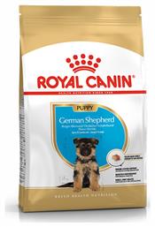 Puppy German Shepherd 3kg Royal Canin