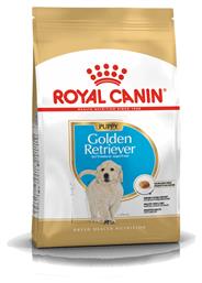 Puppy Golden Retriever 12kg Royal Canin