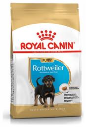 Puppy Rottweiler 12kg Royal Canin