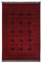 8127A με Κρόσια D. Red Royal Carpet