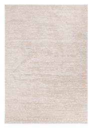 Solid 1391 Royal Carpet