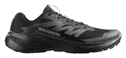 Salomon