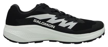 Salomon