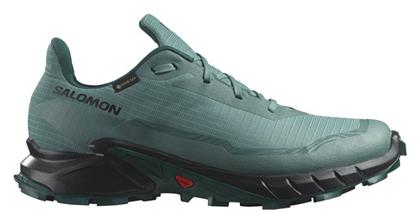 Alphacross 5 Gore-Tex Ανδρικά Trail Πετρολ Salomon