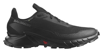 Alphacross 5 GTX Ανδρικά Running Gore-Tex Salomon
