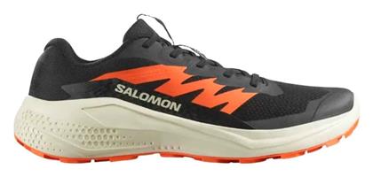 Ανδρικά Trail Πράσινα Salomon