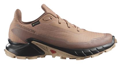 Aplhacross 5 GTX Gore-Tex Γυναικεία Running Salomon
