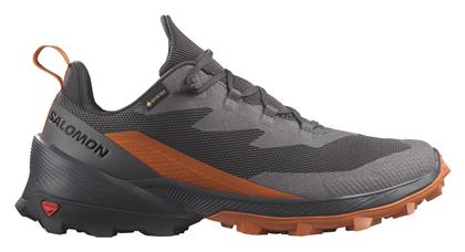 Cross Over 2 Ανδρικά Trail Gore-Tex Salomon