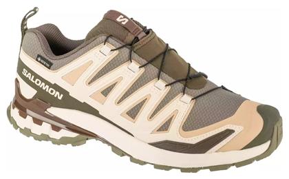 Xa Pro 3d V9 Ανδρικά Trail Gore-Tex Salomon