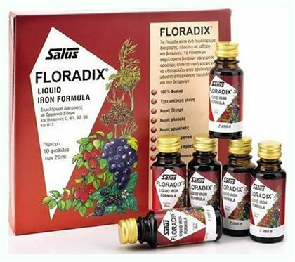 Floradix Liquid Iron Formula 200ml Salus Haus