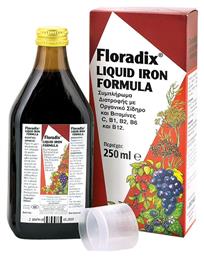 Floradix Liquid Iron Formula 250ml Salus Haus