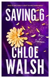 Saving 6 - Little Brown Book