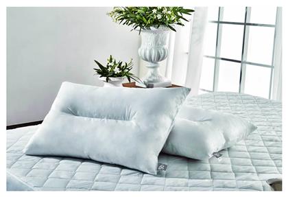 Μαξιλάρι Ύπνου Ballfiber Ανατομικό Σκληρό 50x70cm SB Home