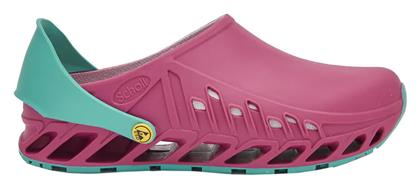 Ανατομικά Σαμπό Scholl