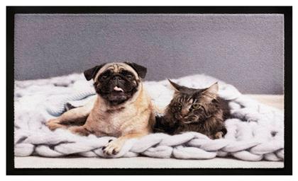 Πατάκι Εισόδου Μοκέτα 012 Cat Dog 40x60cm Sdim
