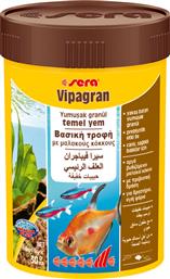 Vipagran Τροφή για Τροπικά Ψάρια σε Κόκκους 100ml Sera