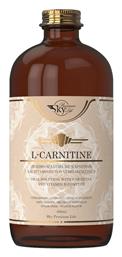 L-Carnitine με Γεύση Πορτοκάλι 480ml Sky Premium Life