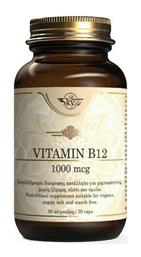 Vitamin B12 Βιταμίνη 1000mcg 60 κάψουλες Sky Premium Life