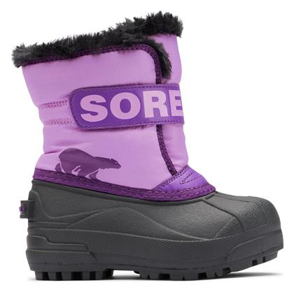 Sorel