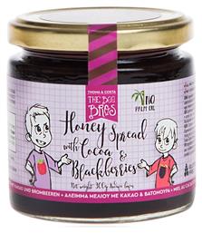 Άλειμμα Μελιού Με Κακάο & Blackberries 300gr Stayia Farm
