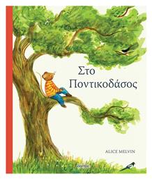Στο Ποντικοδάσος - Διόπτρα