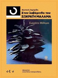Στον Λαβύρινθο του Σωκράτη Μάλαμα - Οξύ