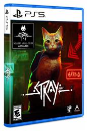 Stray - Annapurna