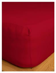 Υπέρδιπλο 160x200+30εκ. με Λάστιχο Cotton Feelings 151 113 Red Sunshine