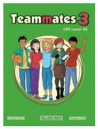 Teammates 3 A2 Grammar - Hillside Press
