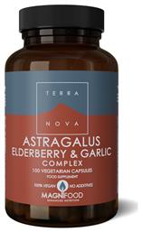 Astragalus Elderberry & Garlic 100 φυτικές κάψουλες TerraNova