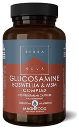 Glucosamine Boswellia & MSM Complex Συμπλήρωμα για την Υγεία των Αρθρώσεων 100 φυτικές κάψουλες TerraNova
