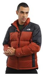 Μπουφάν Puffer Καφέ The North Face