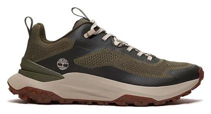 Sneakers Timberland