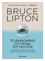 Το Φαινόμενο Του Μήνα Του Μέλιτος - Key Books