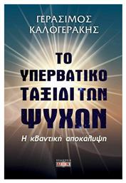 Το υπερβατικό ταξίδι των ψυχών, Η κβαντική αποκάλυψη - Δίον