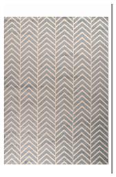 Siesta 00148-230 Grey Tzikas Carpets