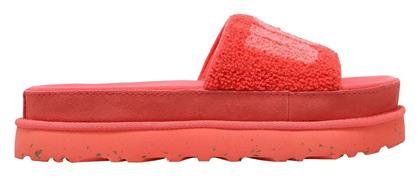 LATON 1126350 Σαγιονάρες σε στυλ Πέδιλα Ugg Australia