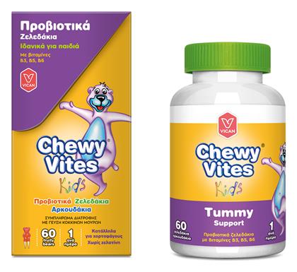 Chewy Vites Tummy Support 60 ζελεδάκια Vican