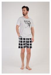 1XL4XL Vienetta Secret