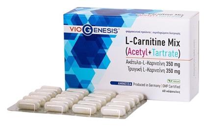 L-Carnitine Mix Acetyl + Tartrate 350mg 60 κάψουλες Viogenesis