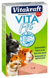 Κύβος Άλατος Τρωκτικών Sel-Plus 40gr Vitakraft