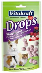 Λιχουδιά για Χάμστερ με Φρούτα Drops Wildberry 75gr Vitakraft