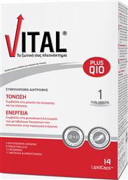 Vital Plus Q10 14 μαλακές κάψουλες από το Pharm24