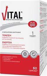 Vital Plus Q10 Βιταμίνη για Ενέργεια & Ανοσοποιητικό 10mg 60 μαλακές κάψουλες
