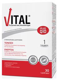 Plus Q10 Πολυβιταμίνη 10mg 30 μαλακές κάψουλες Vital