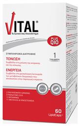Plus Q10 Πολυβιταμίνη 10mg 60 μαλακές κάψουλες Vital