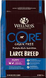 Wellness Core Large Breed Puppy 10kg από το Petshop4u