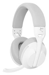 Falcon Ασύρματο Over Ear White Shark