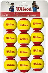 Wilson Starter Red Μπαλάκια Τένις Παιδικά 12τμχ