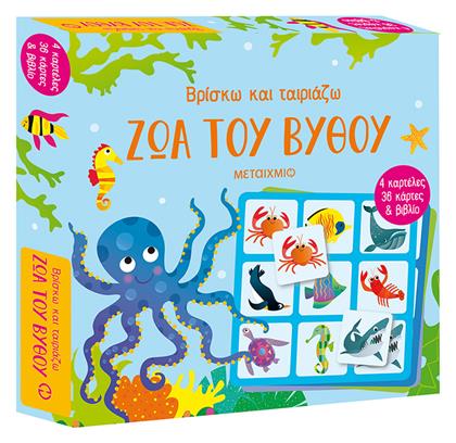 Ζώα του Βυθού, Βρίσκω και Ταιριάζω - Μεταίχμιο